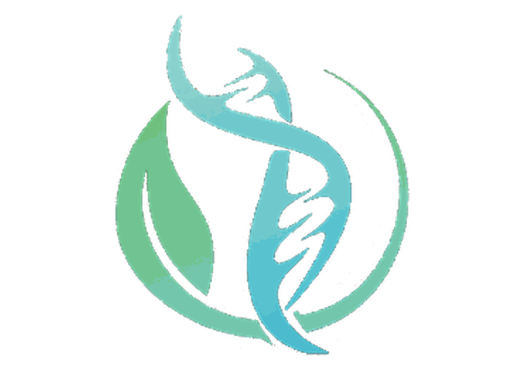 6307-florida-regen-logo