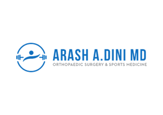 6965-arash-dini-md-orthopedic-surgery-and-sports-medicine-logo
